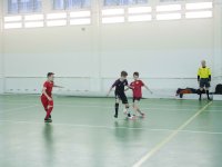 IMG_2247